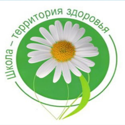 Программа организации здоровьесберегающей деятельности